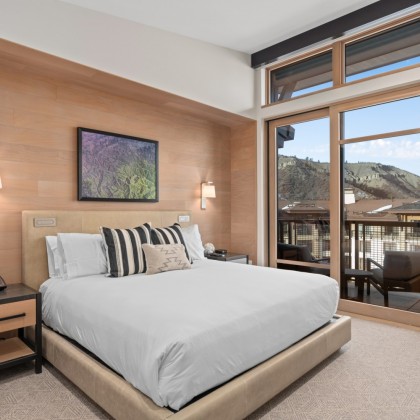 Viceroy Cirque 658 14