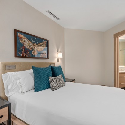 Viceroy Cirque 658 31